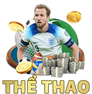 Hỗ trợ khách hàng CO88